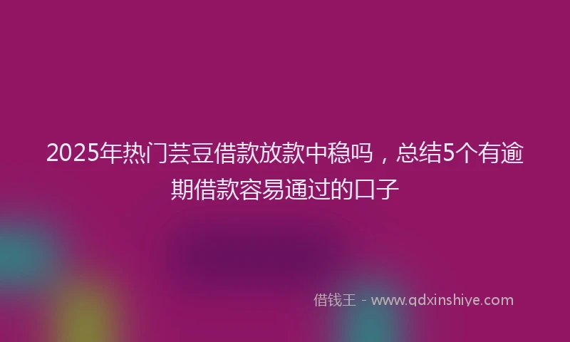 2025年热门芸豆借款放款中稳吗，总结5个有逾期借款容易通过的口子