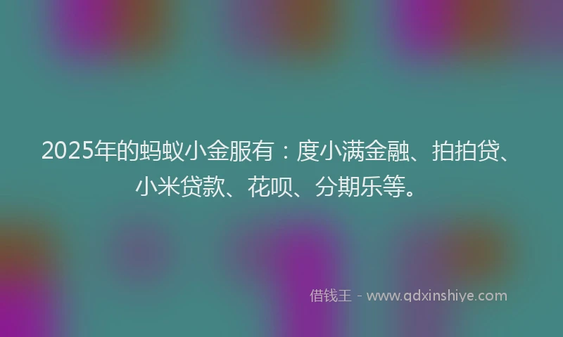 2025年的蚂蚁小金服有：度小满金融、拍拍贷、小米贷款、花呗、分期乐等。