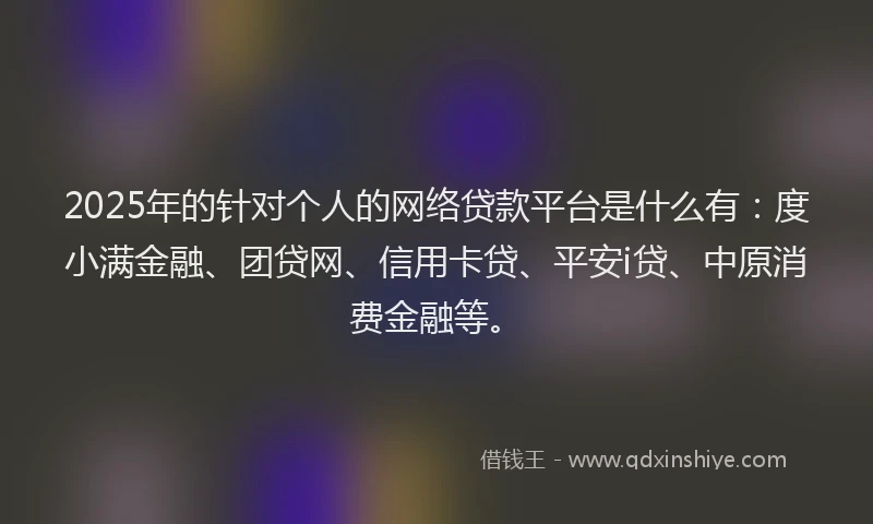2025年的针对个人的网络贷款平台是什么有：度小满金融、团贷网、信用卡贷、平安i贷、中原消费金融等。