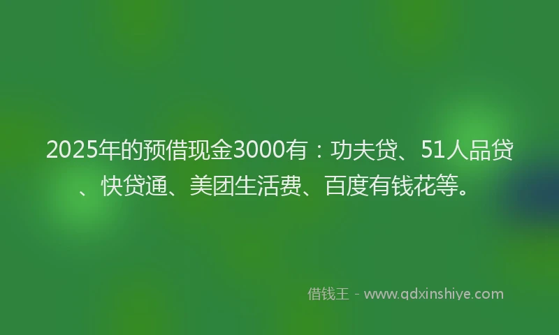 2025年的预借现金3000有：功夫贷、51人品贷、快贷通、美团生活费、百度有钱花等。