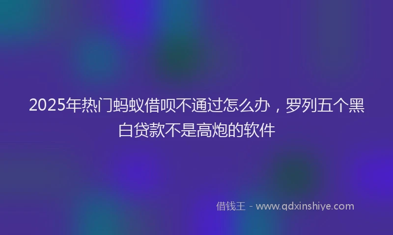 2025年热门蚂蚁借呗不通过怎么办，罗列五个黑白贷款不是高炮的软件