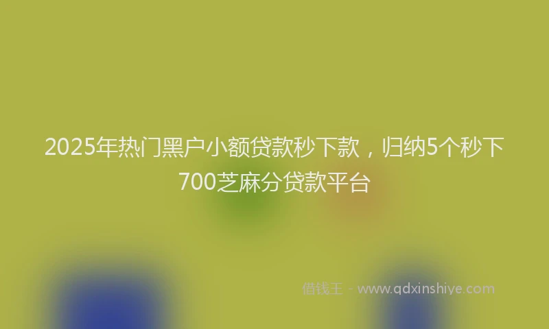 2025年热门黑户小额贷款秒下款，归纳5个秒下700芝麻分贷款平台