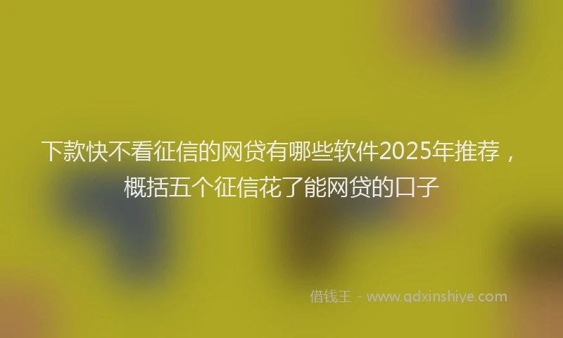 下款快不看征信的网贷有哪些软件2025年推荐，概括五个征信花了能网贷的口子