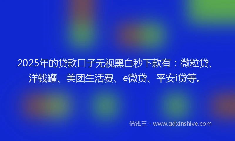 2025年的贷款口子无视黑白秒下款有：微粒贷、洋钱罐、美团生活费、e微贷、平安i贷等。