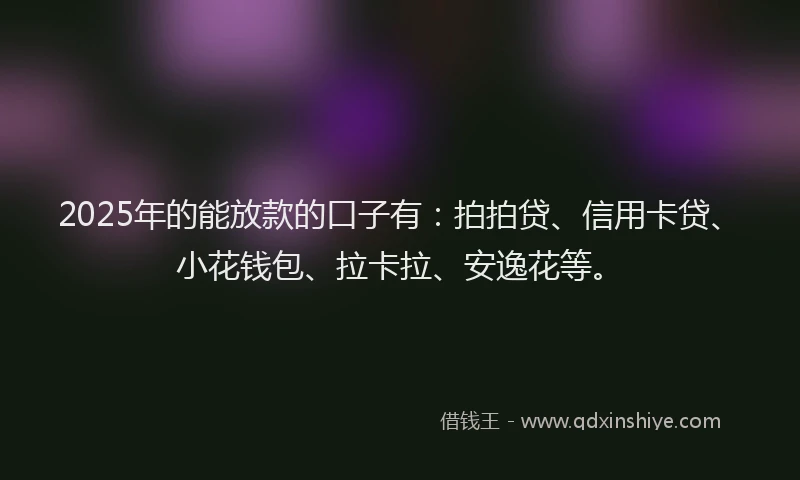 2025年的能放款的口子有：拍拍贷、信用卡贷、小花钱包、拉卡拉、安逸花等。