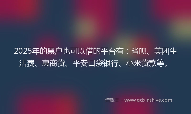 2025年的黑户也可以借的平台有：省呗、美团生活费、惠商贷、平安口袋银行、小米贷款等。