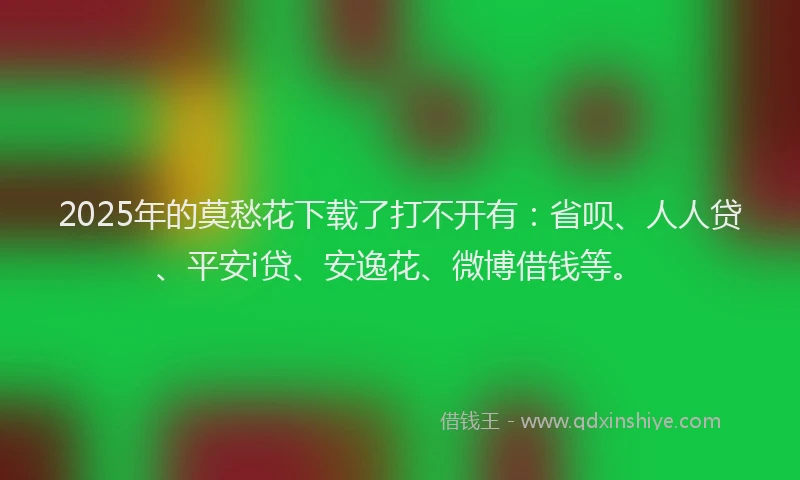 2025年的莫愁花下载了打不开有：省呗、人人贷、平安i贷、安逸花、微博借钱等。
