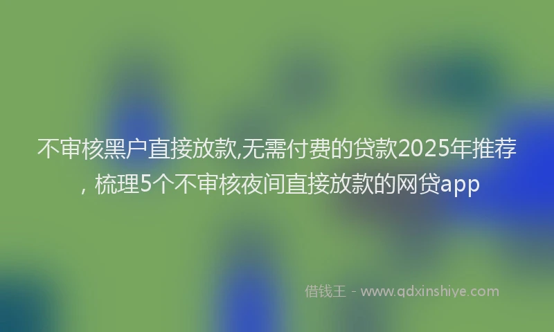 不审核黑户直接放款,无需付费的贷款2025年推荐，梳理5个不审核夜间直接放款的网贷app