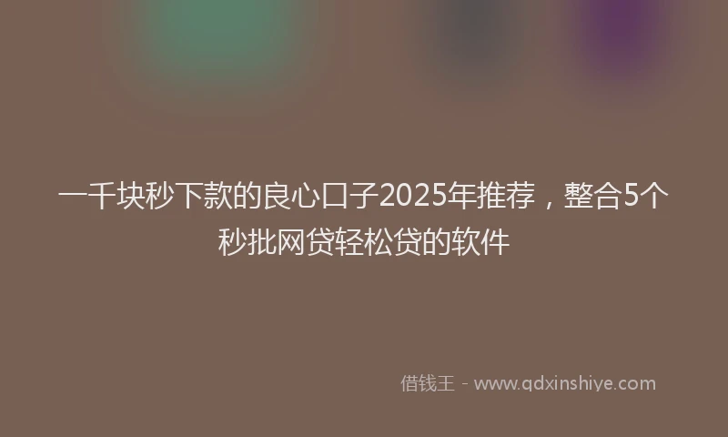 一千块秒下款的良心口子2025年推荐，整合5个秒批网贷轻松贷的软件