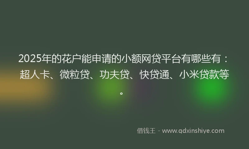2025年的花户能申请的小额网贷平台有哪些有：超人卡、微粒贷、功夫贷、快贷通、小米贷款等。