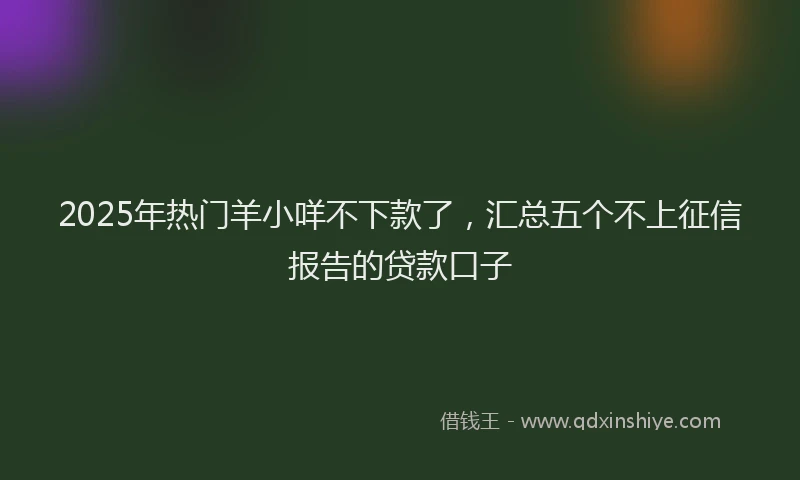 2025年热门羊小咩不下款了，汇总五个不上征信报告的贷款口子