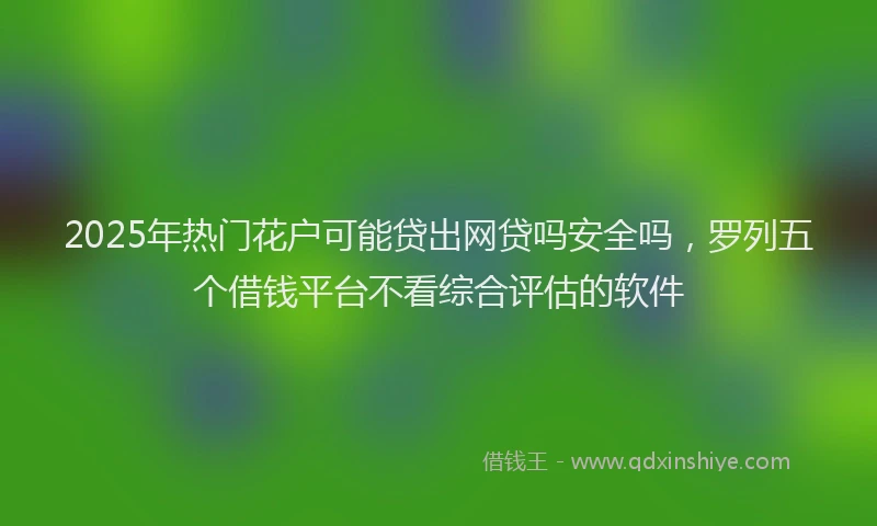 2025年热门花户可能贷出网贷吗安全吗，罗列五个借钱平台不看综合评估的软件