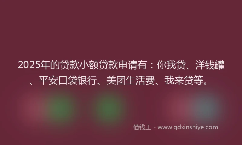 2025年的贷款小额贷款申请有：你我贷、洋钱罐、平安口袋银行、美团生活费、我来贷等。