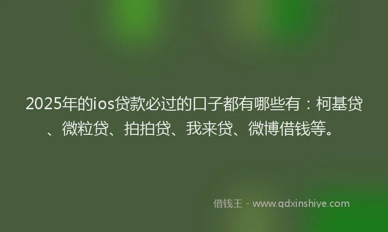 2025年的ios贷款必过的口子都有哪些有：柯基贷、微粒贷、拍拍贷、我来贷、微博借钱等。
