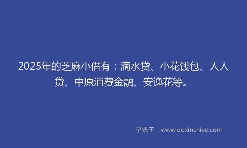 2025年的芝麻小借有：滴水贷、小花钱包、人人贷、中原消费金融、安逸花等。
