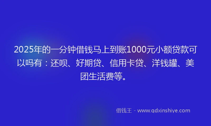 2025年的一分钟借钱马上到账1000元小额贷款可以吗有：还呗、好期贷、信用卡贷、洋钱罐、美团生活费等。