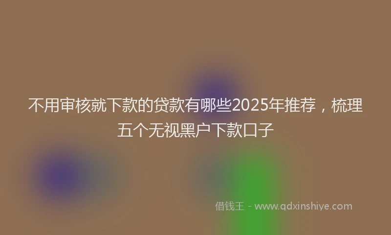 不用审核就下款的贷款有哪些2025年推荐，梳理五个无视黑户下款口子