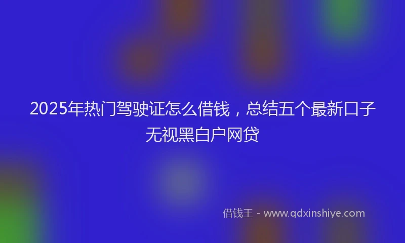 2025年热门驾驶证怎么借钱，总结五个最新口子无视黑白户网贷