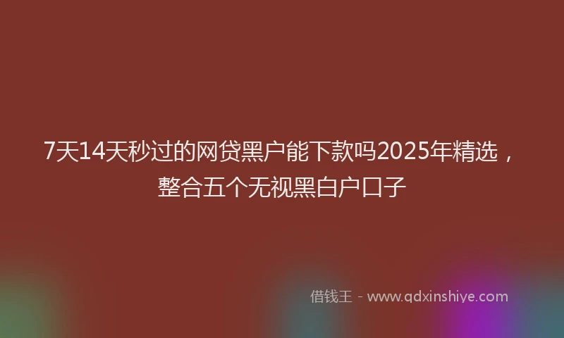 7天14天秒过的网贷黑户能下款吗2025年精选，整合五个无视黑白户口子