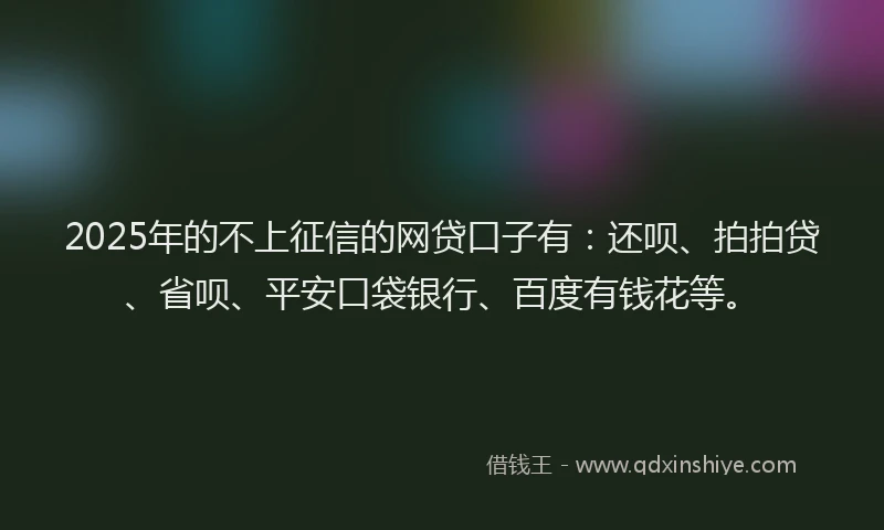2025年的不上征信的网贷口子有：还呗、拍拍贷、省呗、平安口袋银行、百度有钱花等。