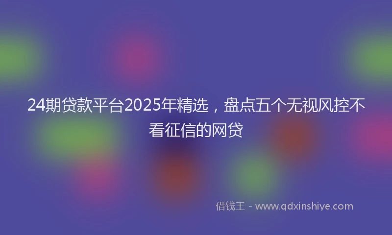 24期贷款平台2025年精选，盘点五个无视风控不看征信的网贷