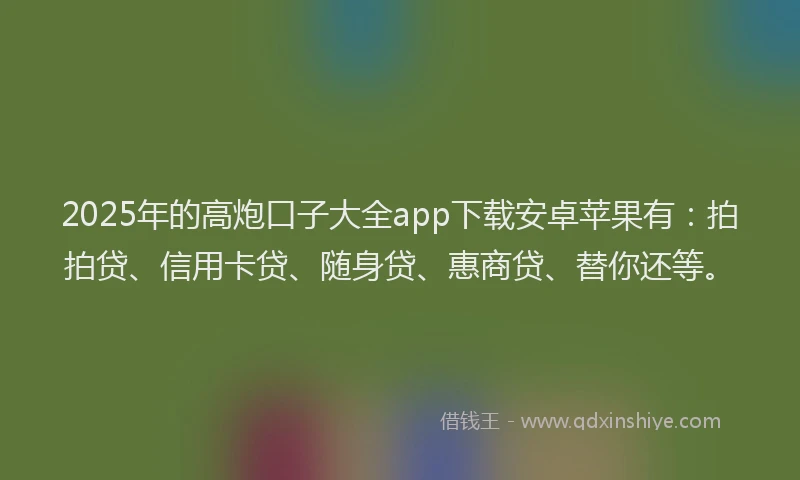 2025年的高炮口子大全app下载安卓苹果有：拍拍贷、信用卡贷、随身贷、惠商贷、替你还等。