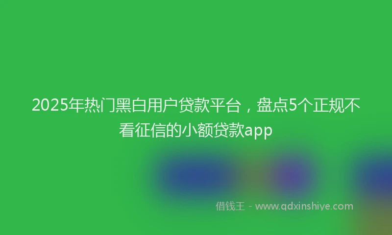 2025年热门黑白用户贷款平台，盘点5个正规不看征信的小额贷款app