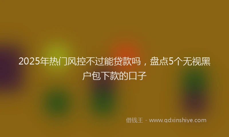 2025年热门风控不过能贷款吗，盘点5个无视黑户包下款的口子