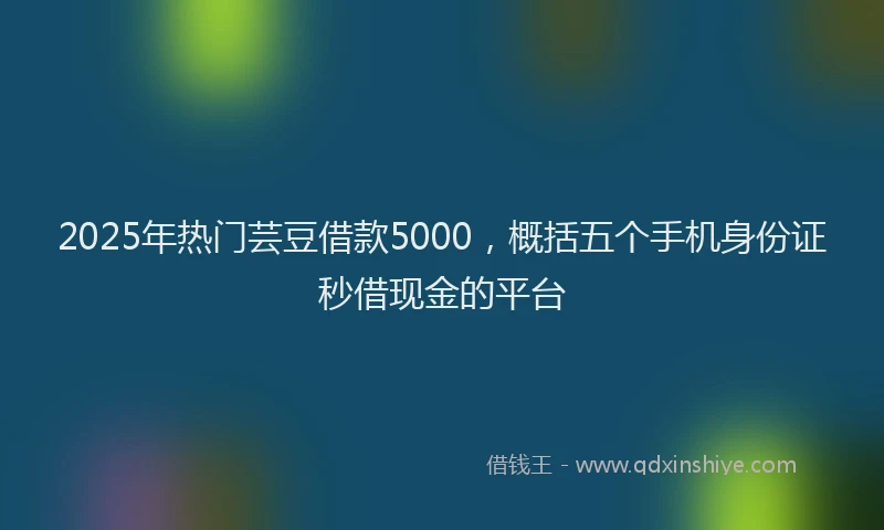 2025年热门芸豆借款5000，概括五个手机身份证秒借现金的平台