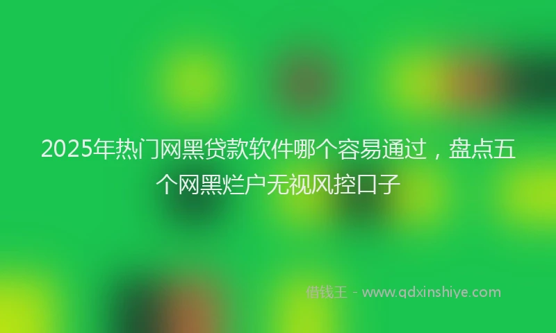 2025年热门网黑贷款软件哪个容易通过，盘点五个网黑烂户无视风控口子