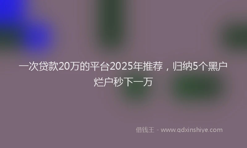 一次贷款20万的平台2025年推荐，归纳5个黑户烂户秒下一万
