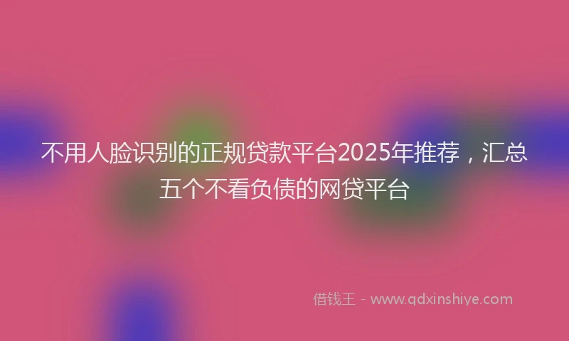 不用人脸识别的正规贷款平台2025年推荐，汇总五个不看负债的网贷平台