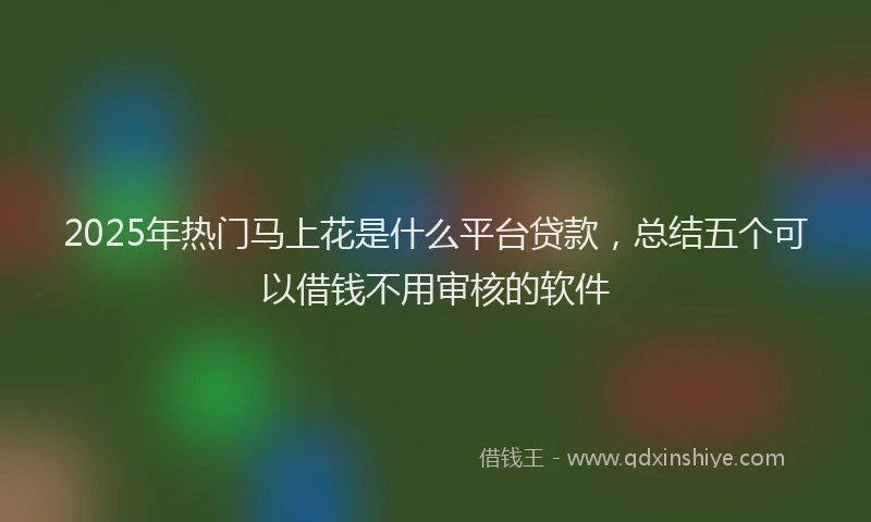 2025年热门马上花是什么平台贷款，总结五个可以借钱不用审核的软件