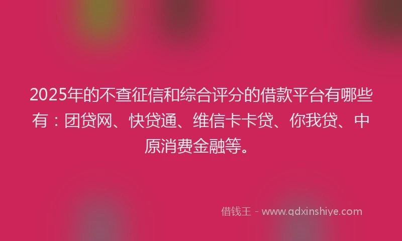 2025年的不查征信和综合评分的借款平台有哪些有：团贷网、快贷通、维信卡卡贷、你我贷、中原消费金融等。