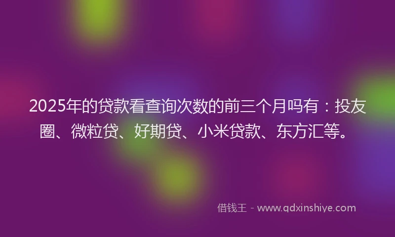 2025年的贷款看查询次数的前三个月吗有：投友圈、微粒贷、好期贷、小米贷款、东方汇等。