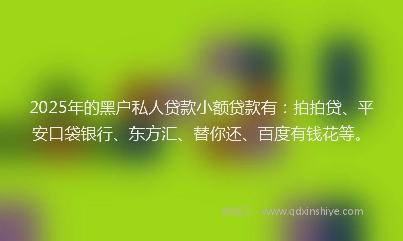 2025年的黑户私人贷款小额贷款有：拍拍贷、平安口袋银行、东方汇、替你还、百度有钱花等。
