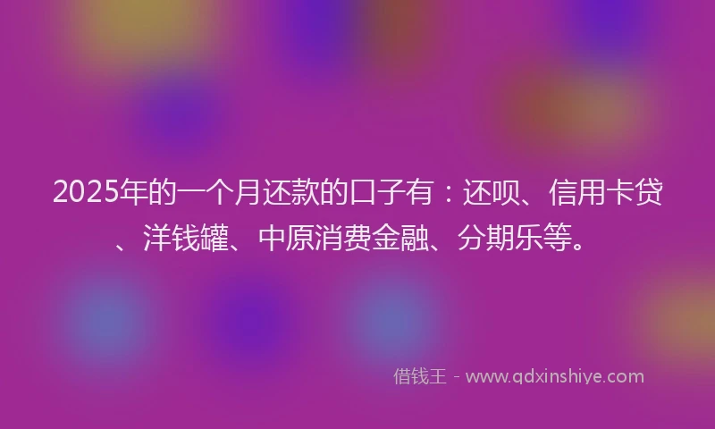2025年的一个月还款的口子有：还呗、信用卡贷、洋钱罐、中原消费金融、分期乐等。