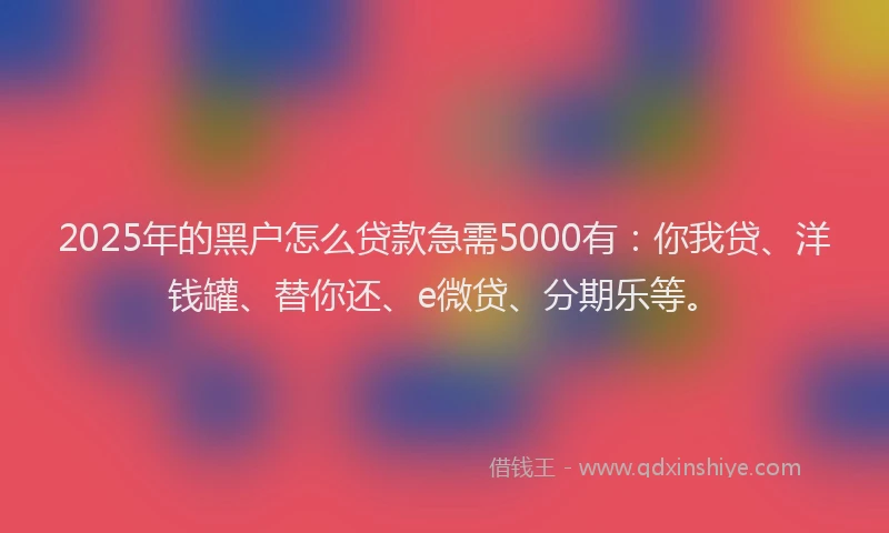 2025年的黑户怎么贷款急需5000有：你我贷、洋钱罐、替你还、e微贷、分期乐等。