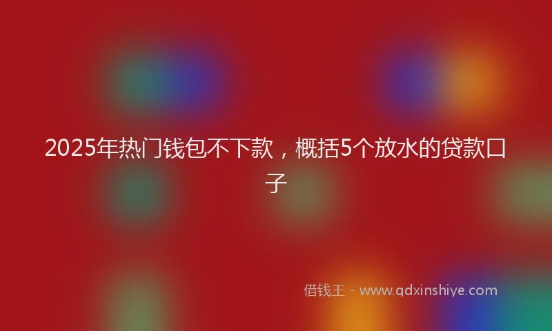 2025年热门钱包不下款，概括5个放水的贷款口子