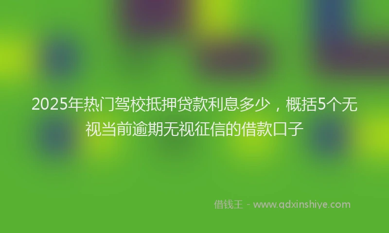 2025年热门驾校抵押贷款利息多少，概括5个无视当前逾期无视征信的借款口子