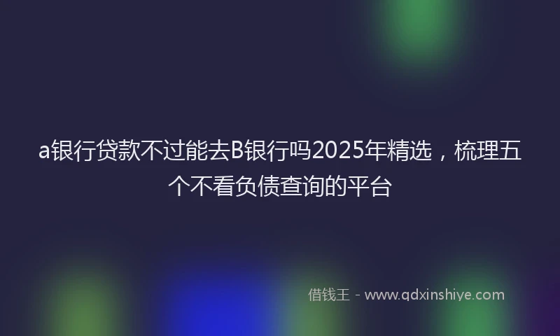 a银行贷款不过能去B银行吗2025年精选，梳理五个不看负债查询的平台