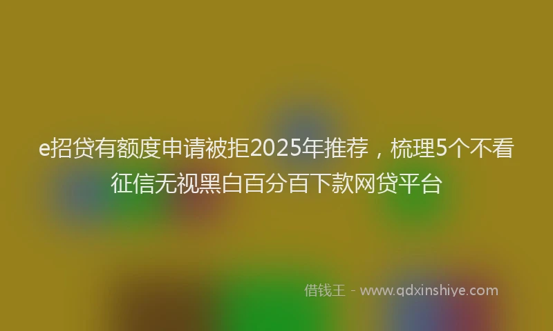 e招贷有额度申请被拒2025年推荐，梳理5个不看征信无视黑白百分百下款网贷平台