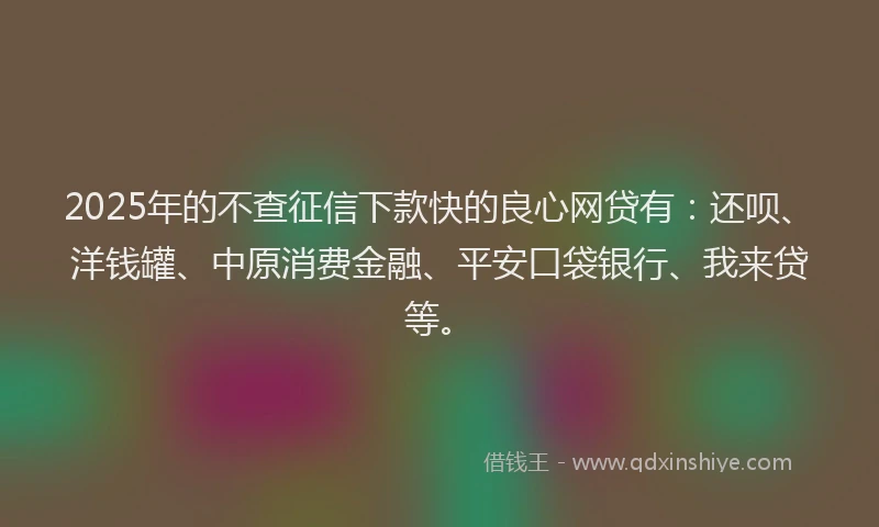 2025年的不查征信下款快的良心网贷有：还呗、洋钱罐、中原消费金融、平安口袋银行、我来贷等。
