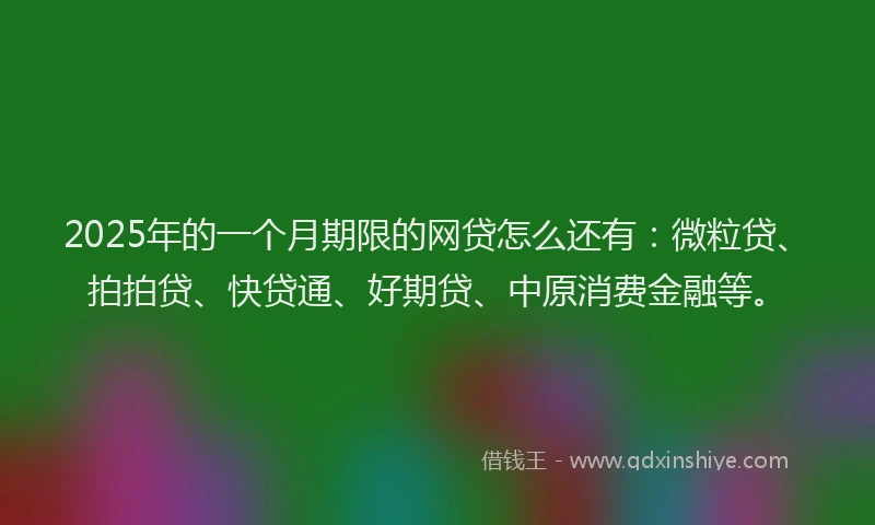 2025年的一个月期限的网贷怎么还有：微粒贷、拍拍贷、快贷通、好期贷、中原消费金融等。
