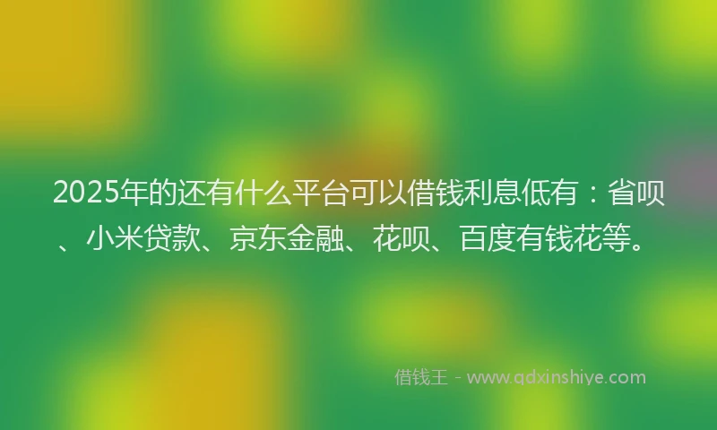 2025年的还有什么平台可以借钱利息低有：省呗、小米贷款、京东金融、花呗、百度有钱花等。