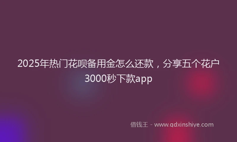 2025年热门花呗备用金怎么还款，分享五个花户3000秒下款app