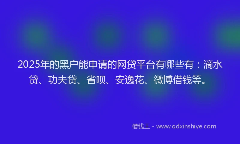 2025年的黑户能申请的网贷平台有哪些有：滴水贷、功夫贷、省呗、安逸花、微博借钱等。