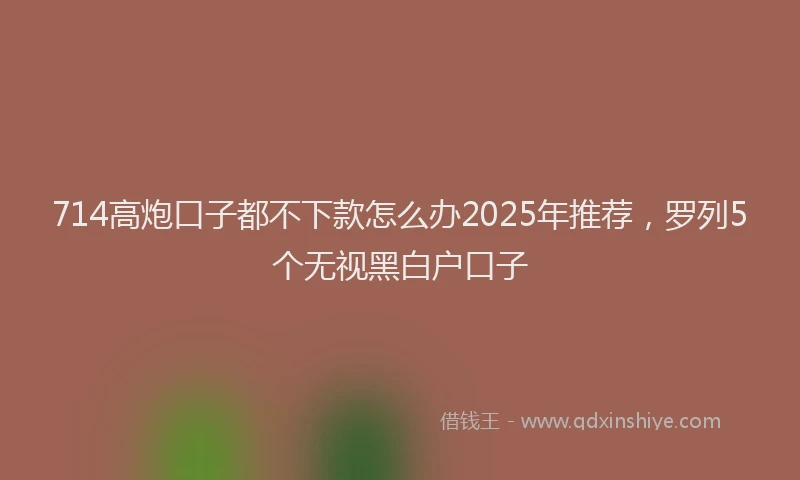714高炮口子都不下款怎么办2025年推荐，罗列5个无视黑白户口子