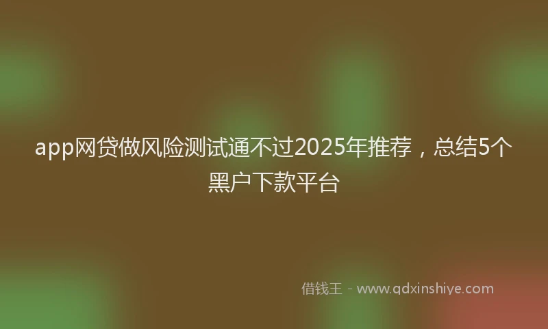 app网贷做风险测试通不过2025年推荐，总结5个黑户下款平台