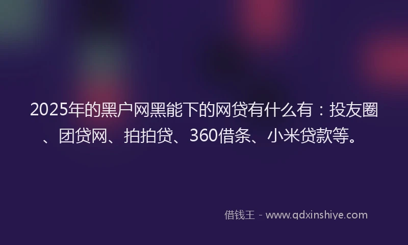 2025年的黑户网黑能下的网贷有什么有：投友圈、团贷网、拍拍贷、360借条、小米贷款等。